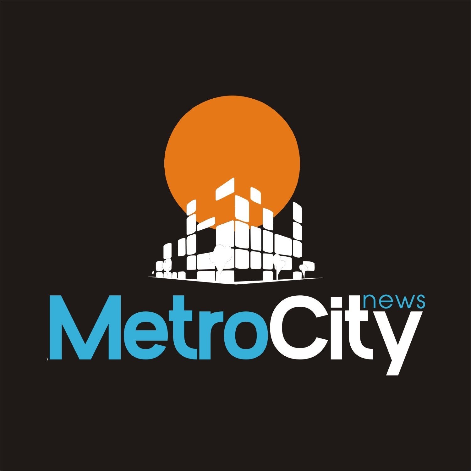 Metro City News logo